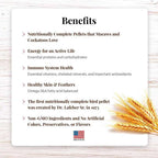 Large Parrot Food Pellets product image 4