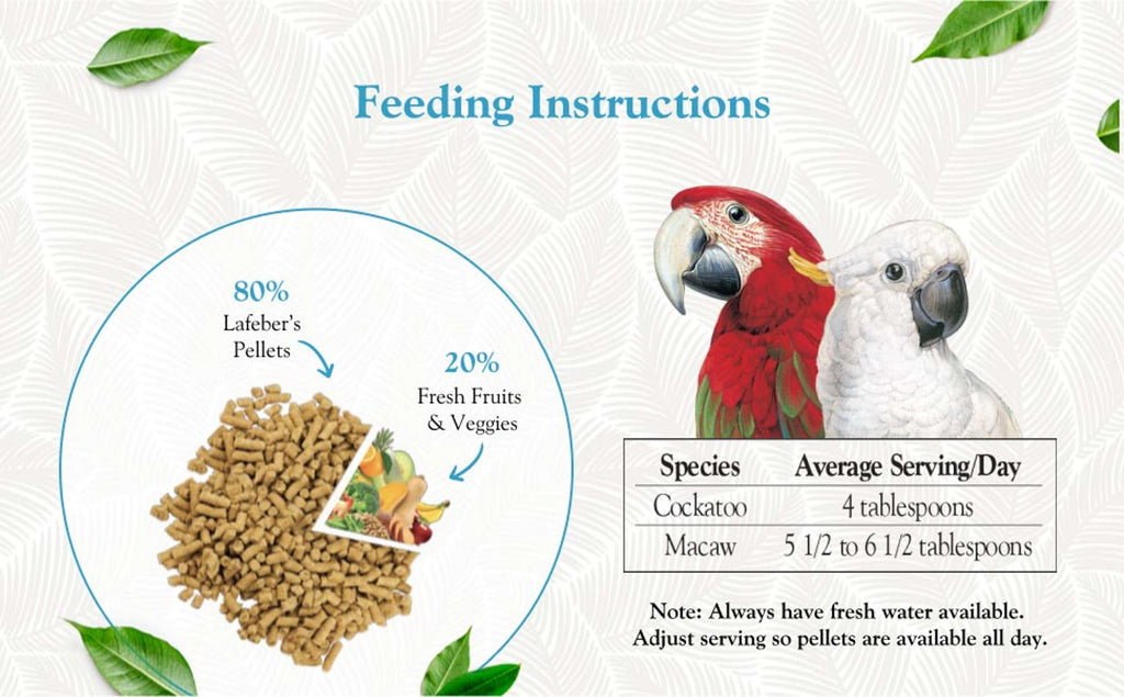 Large Parrot Food Pellets product image 9