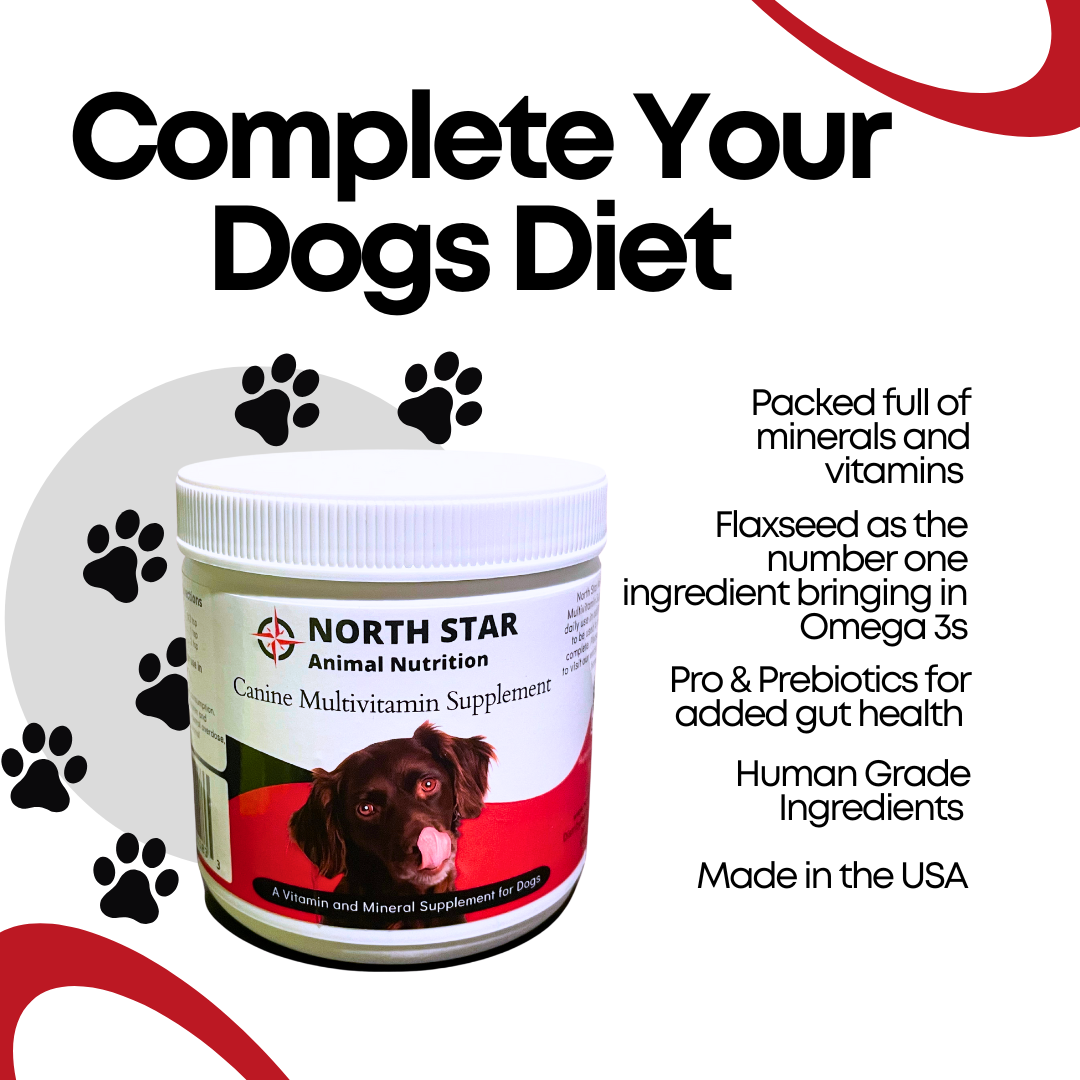 Canine Multivitamin Supplement product image 4