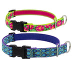 Martingale Dog Collar product image 1