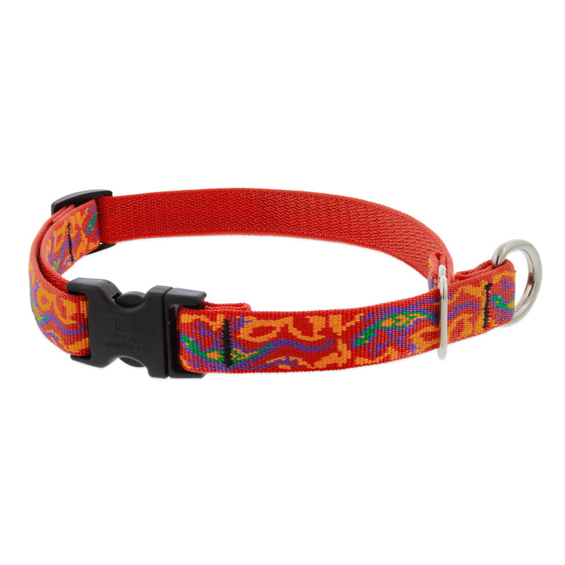 Martingale Dog Collar product image 10