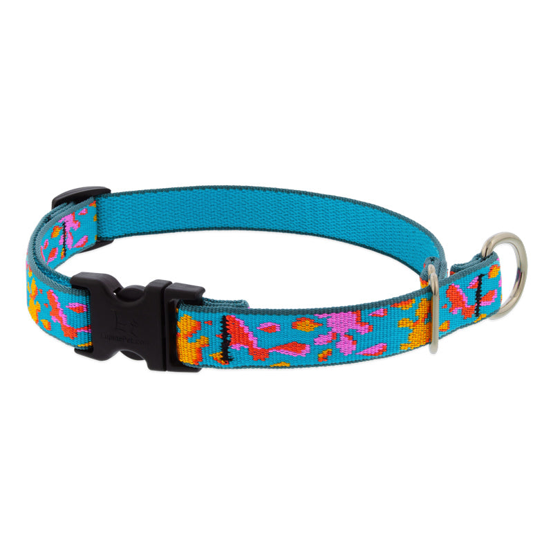 Martingale Dog Collar product image 33