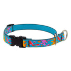 Martingale Dog Collar product image 33