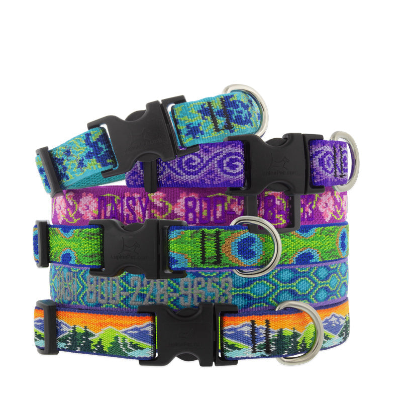 Standard Dog Collar product image 1