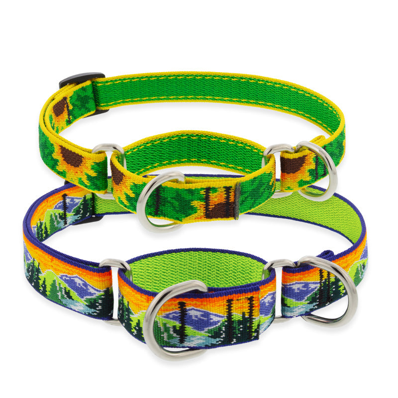 Martingale Dog Collar product image 1