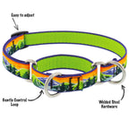 Martingale Dog Collar product image 2