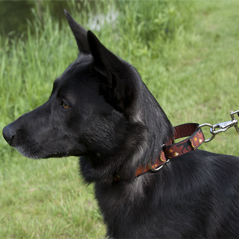Martingale Dog Collar product image 5