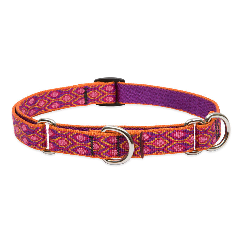 Martingale Dog Collar product image 6