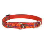 Martingale Dog Collar product image 14