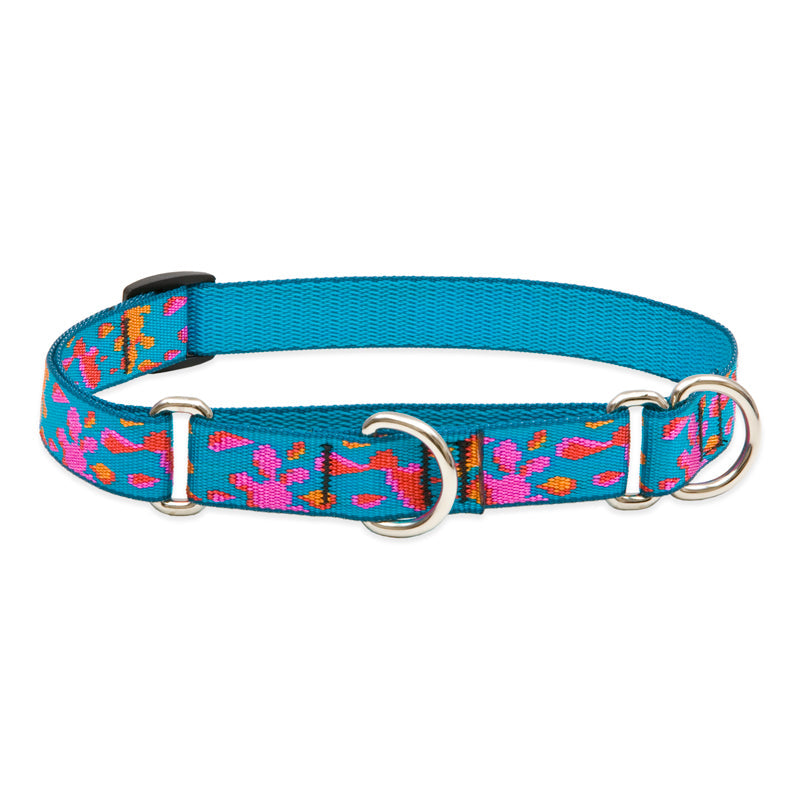 Martingale Dog Collar product image 37