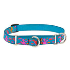 Martingale Dog Collar product image 37