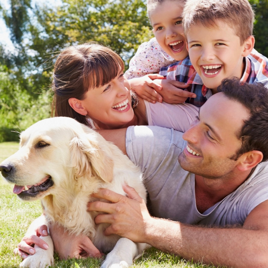 Dog Tick Repellent Spray product image 11