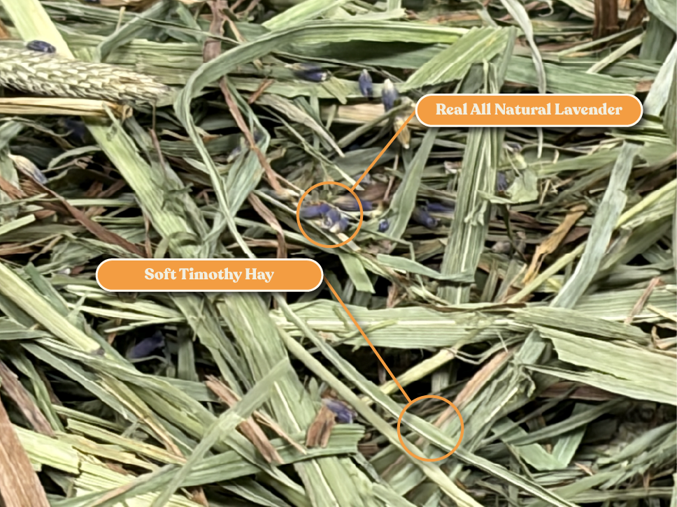 Lavender Timothy Hay product image 3