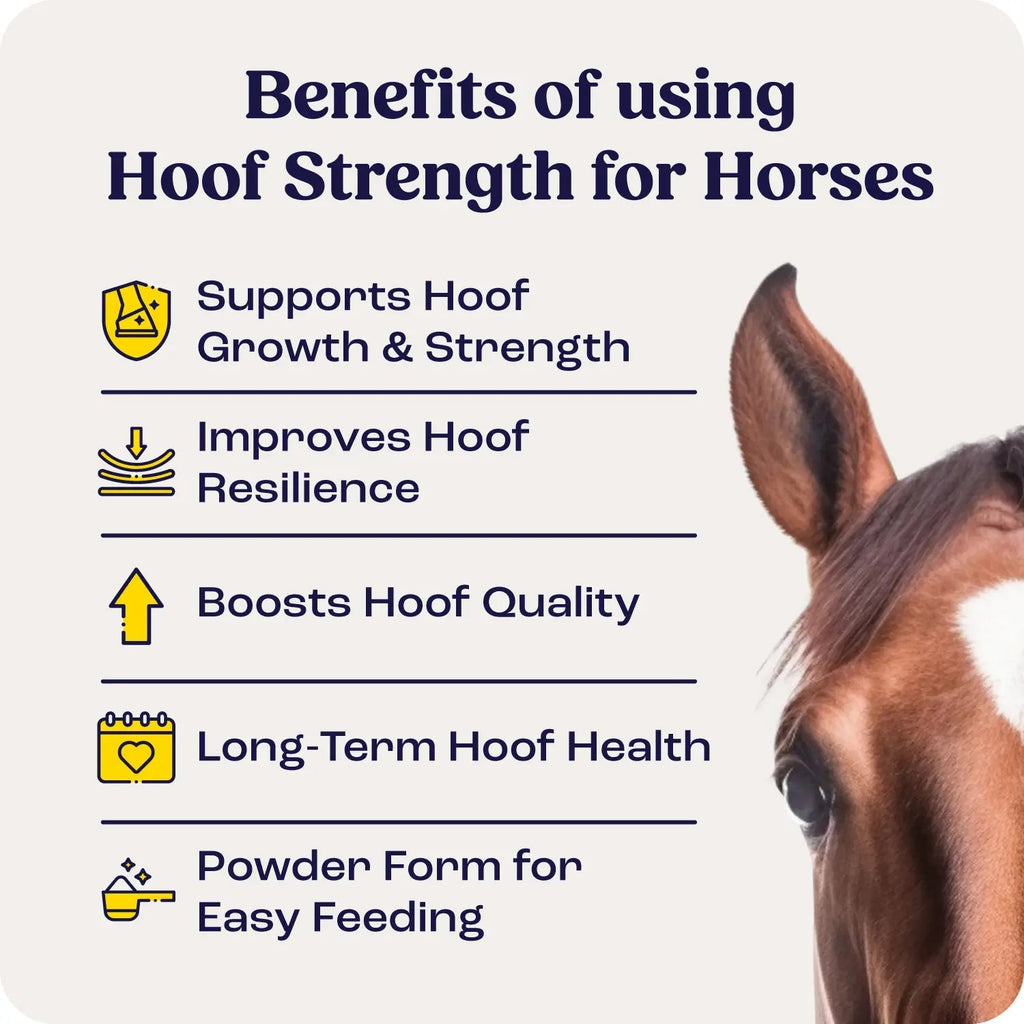 Hoof Strength product image 2