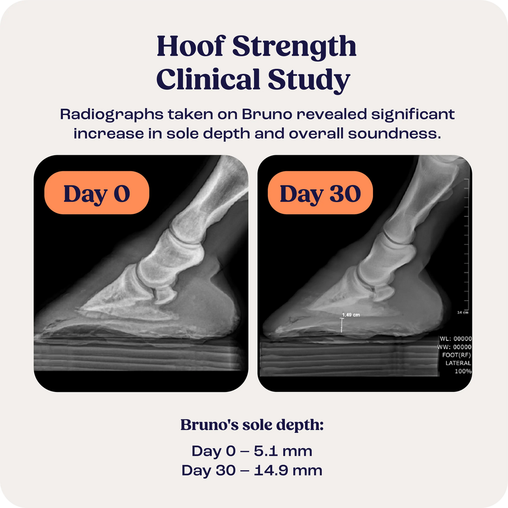 Hoof Strength product image 3