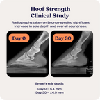 Hoof Strength product image 3