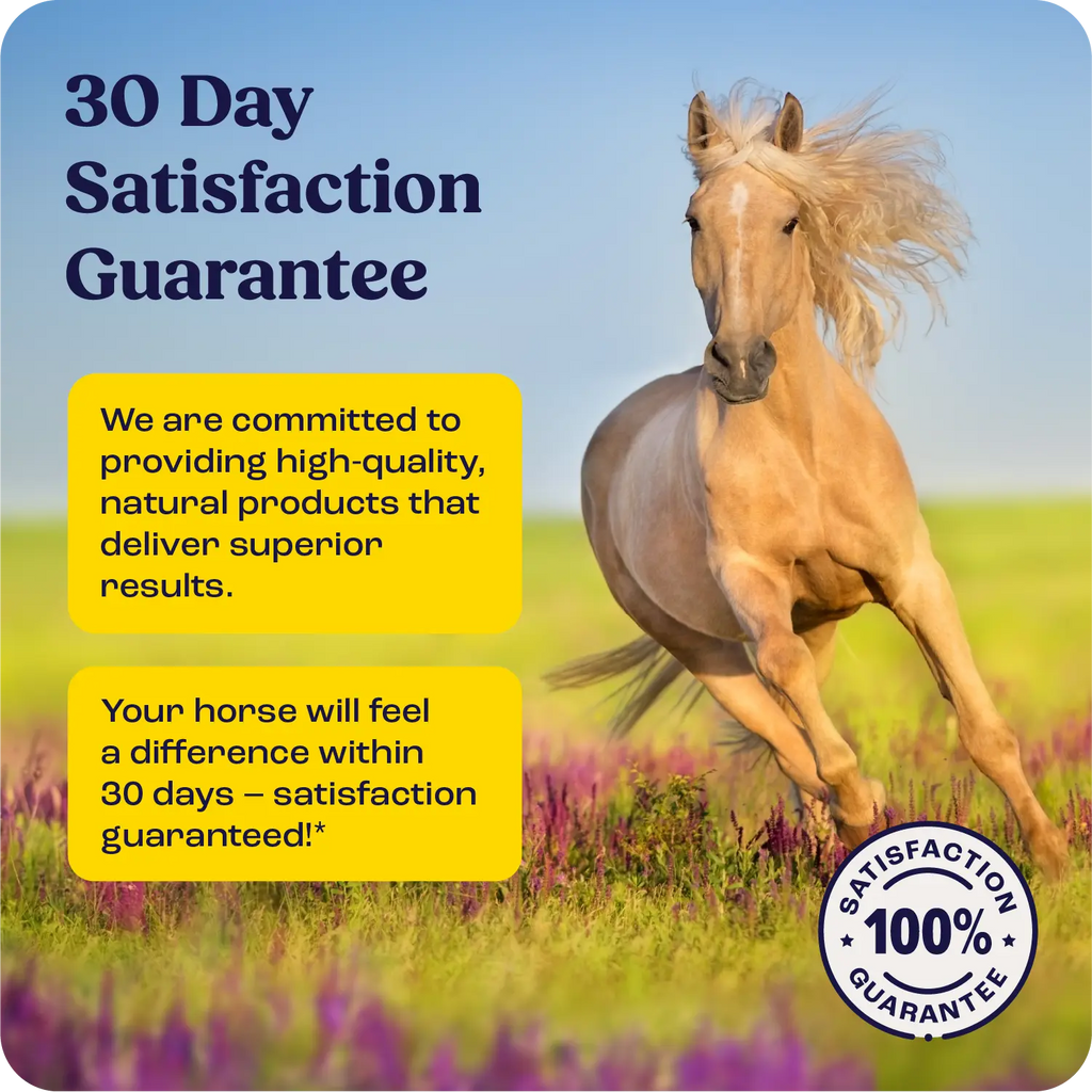 Muscle Relief Gel for horses with 30-day satisfaction guarantee.