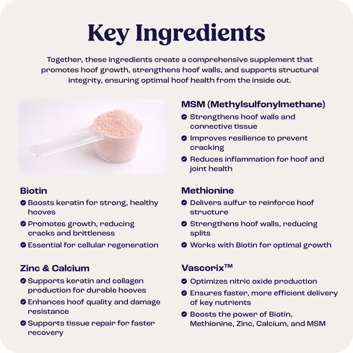 Hoof Strength product image 6