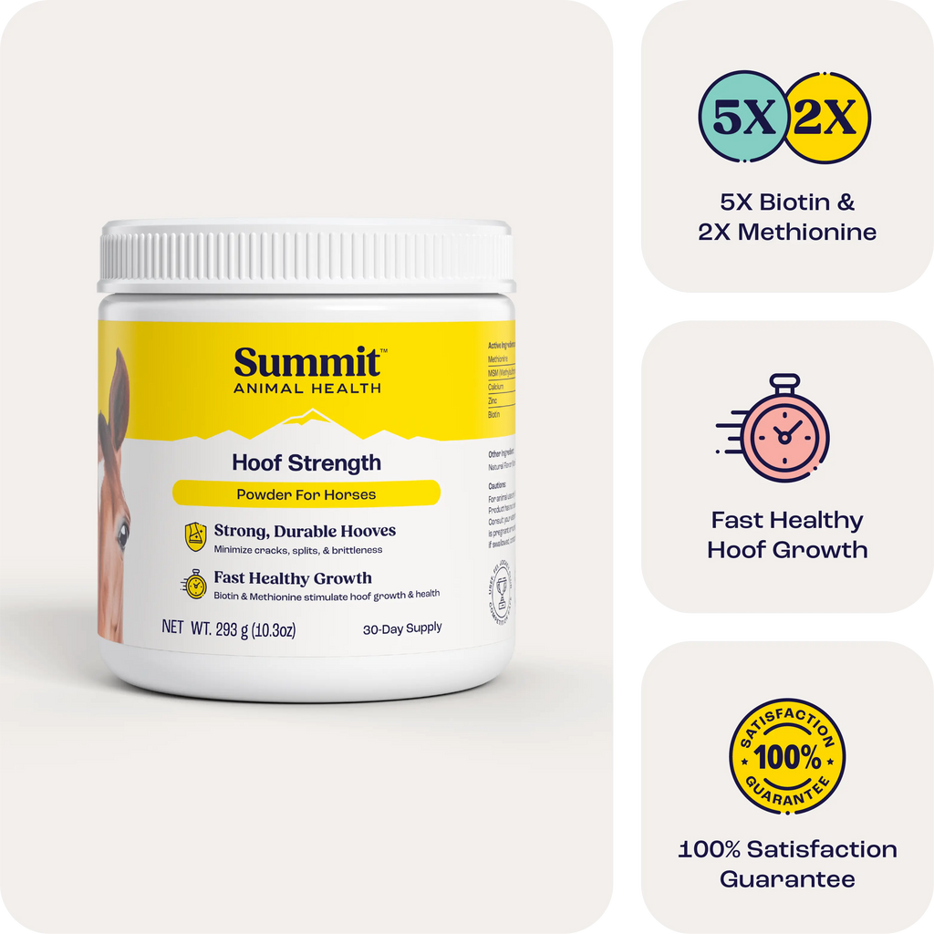 Hoof Strength 30-Day Supply