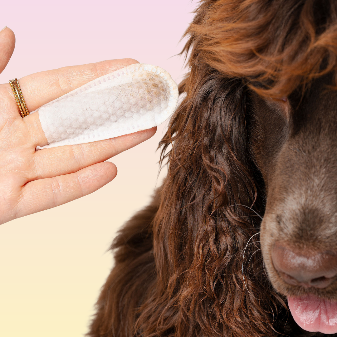 Pet Ear Wipes product image 4