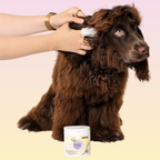 Pet Ear Wipes product image 5