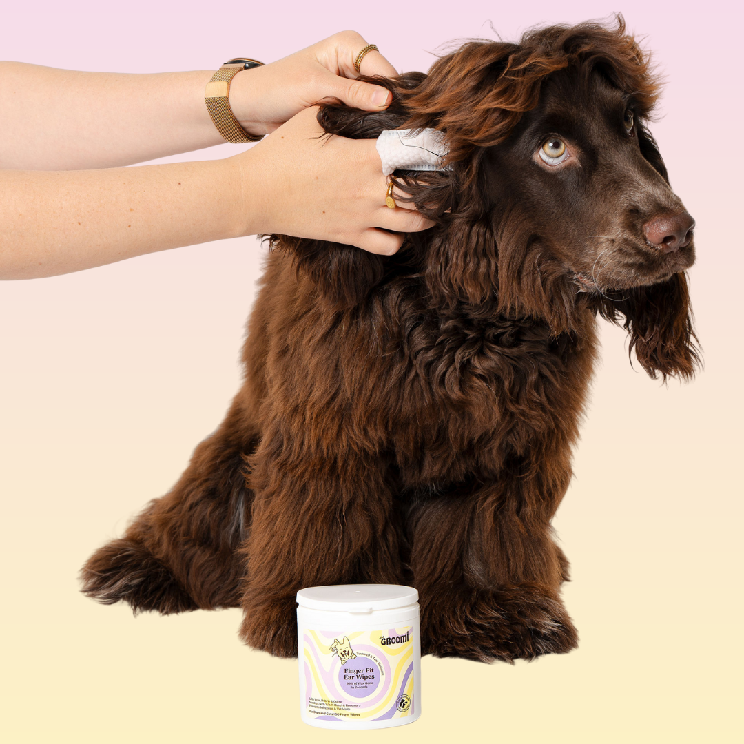 Pet Ear Wipes product image 5