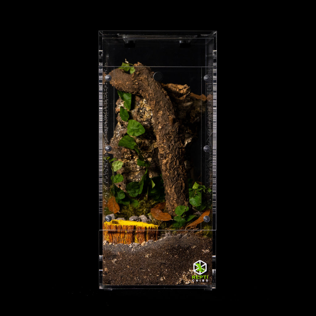 Micro Gecko Terrarium product image 10