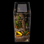 Micro Gecko Terrarium product image 11
