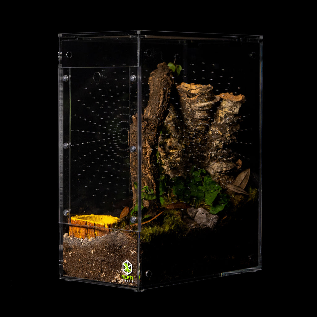 Micro Gecko Terrarium product image 12