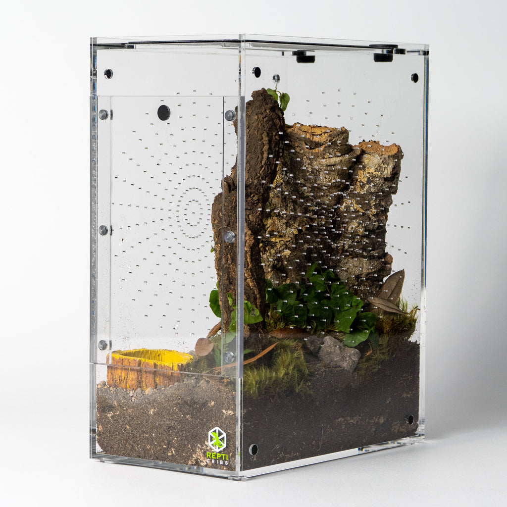 Micro Gecko Terrarium product image 15