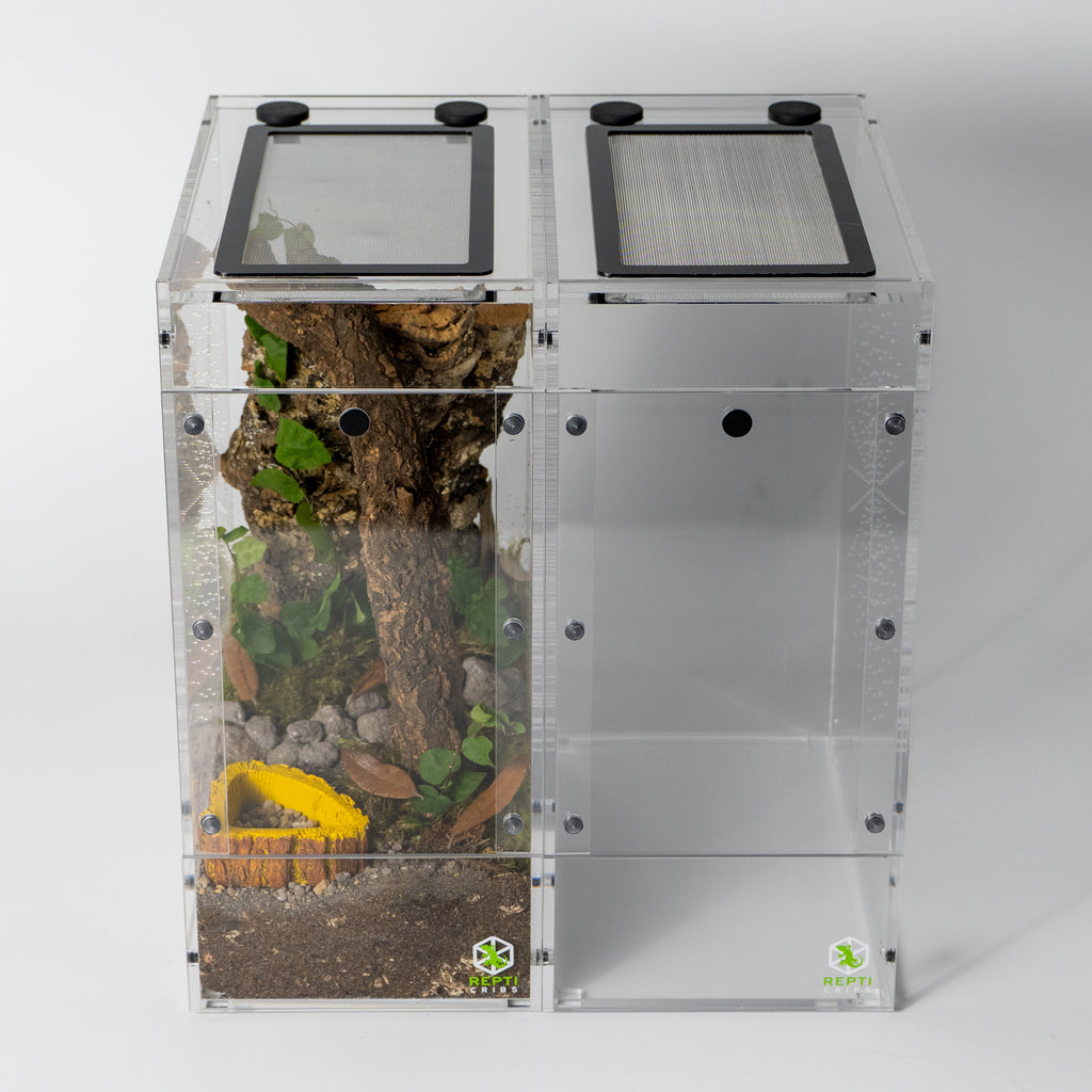 Micro Gecko Terrarium product image 16