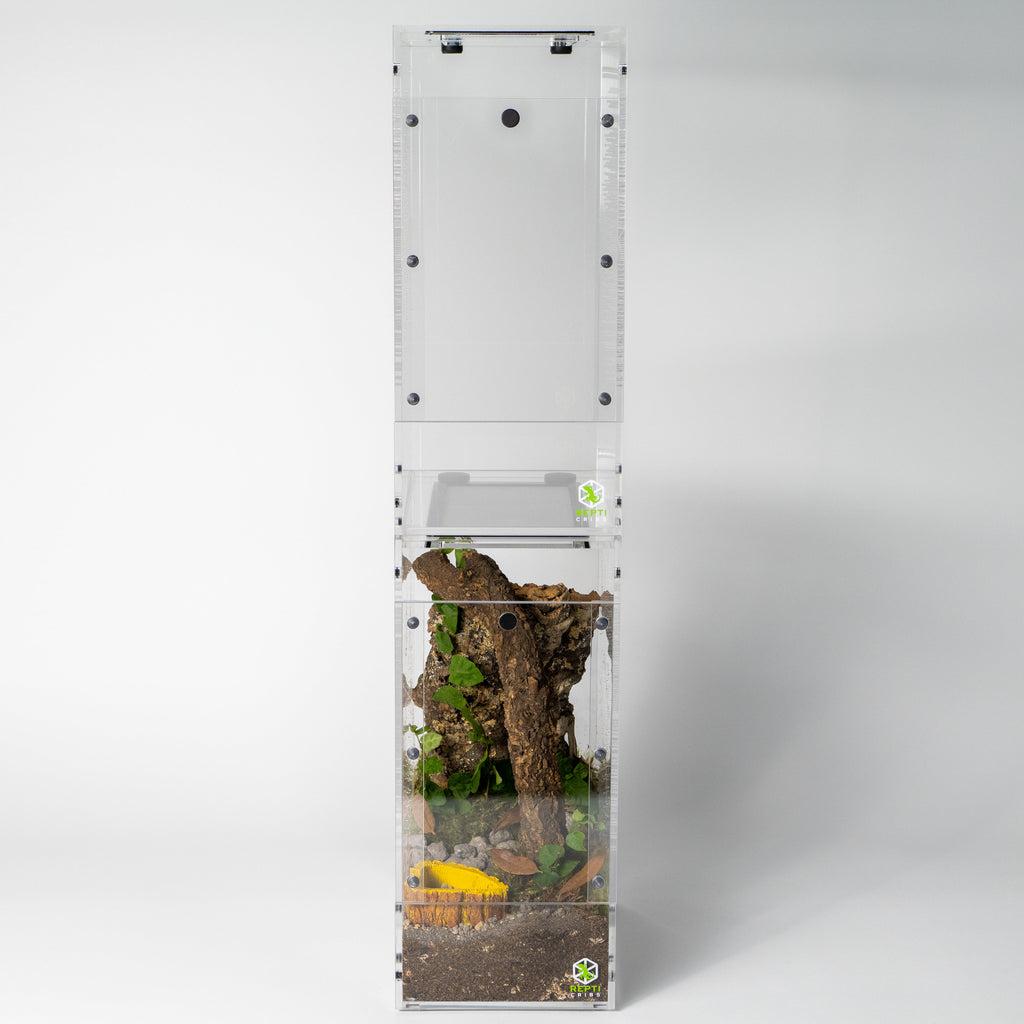 Micro Gecko Terrarium product image 17