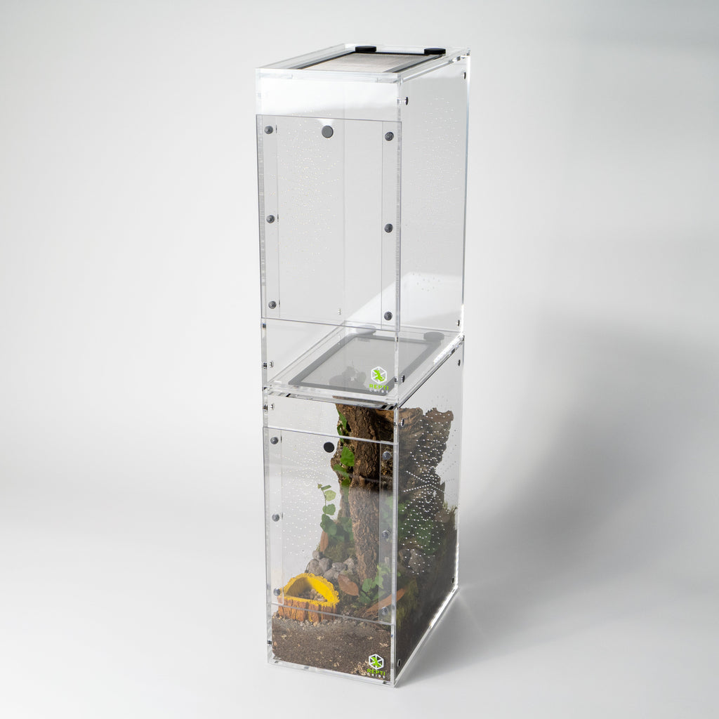 Micro Gecko Terrarium product image 18