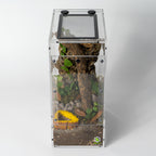 Micro Gecko Terrarium product image 19