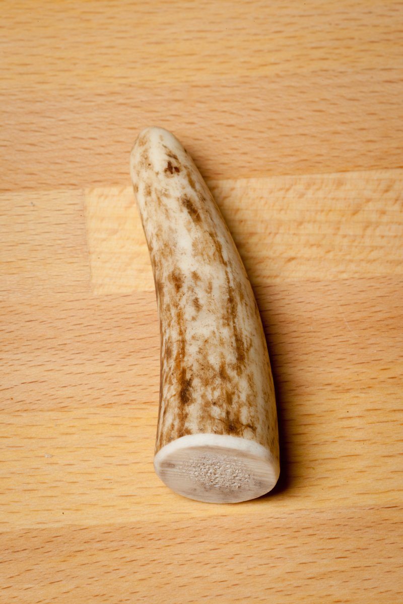 Elk Antler Chew product image 1