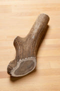 Elk Antler Chew product image 1