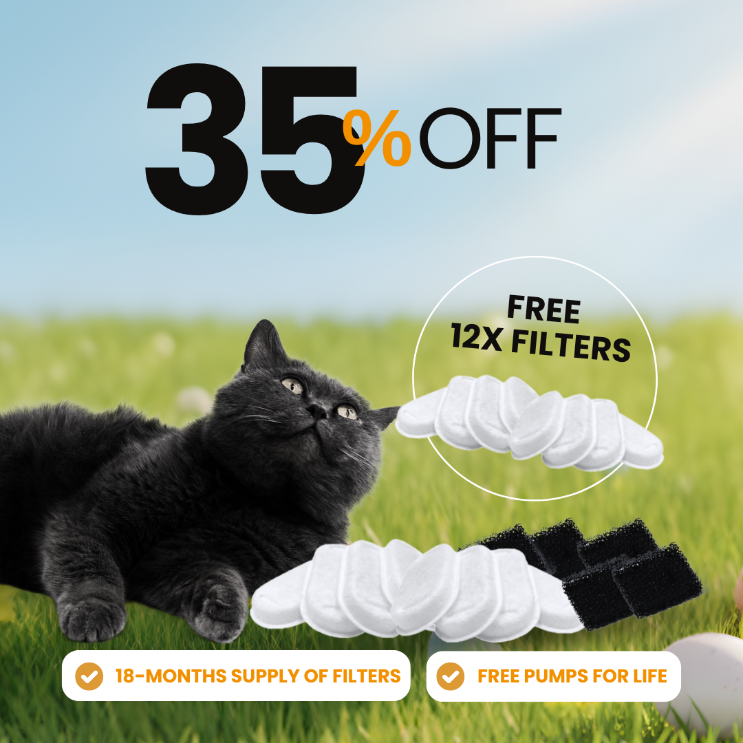 Dog Water Filters product image 1