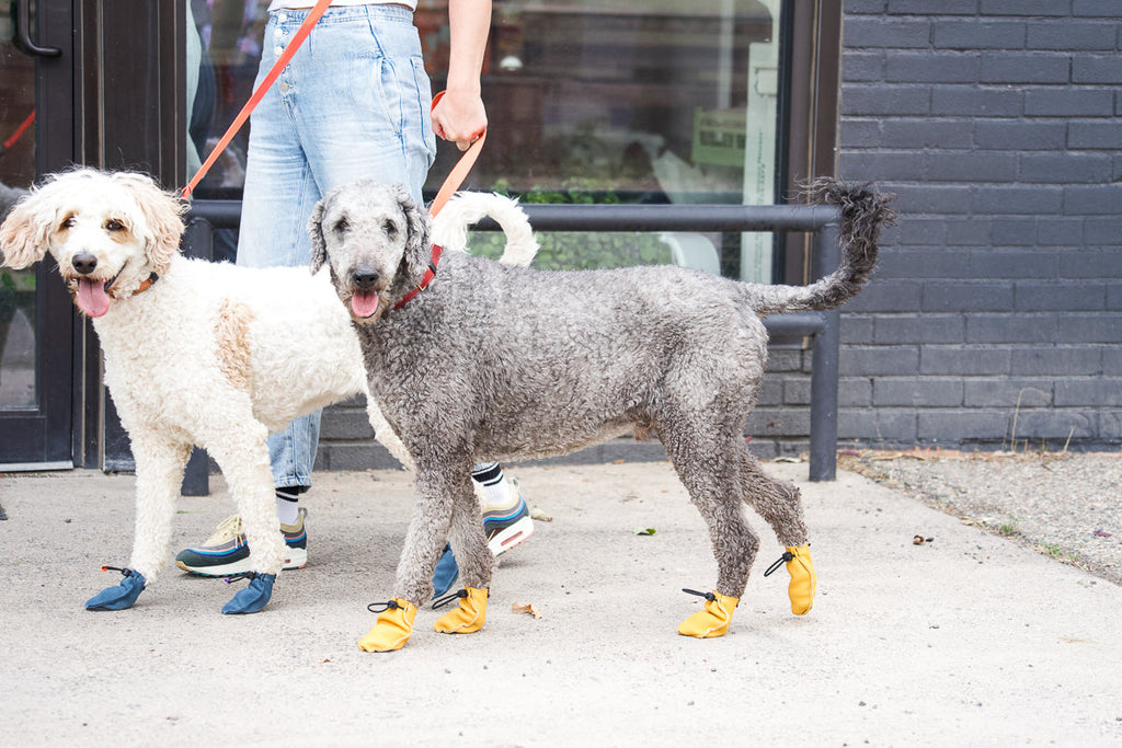 Dog Boots product image 4
