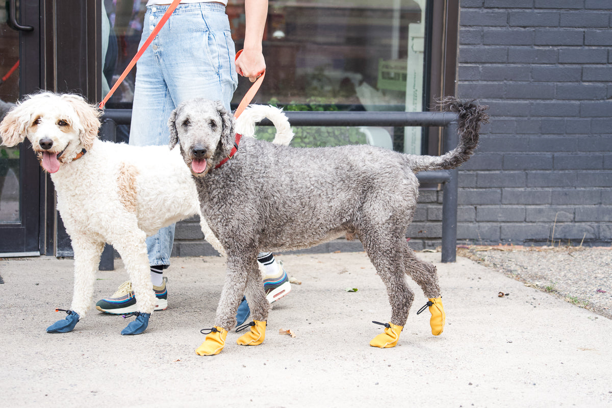 Dog Boots product image 4