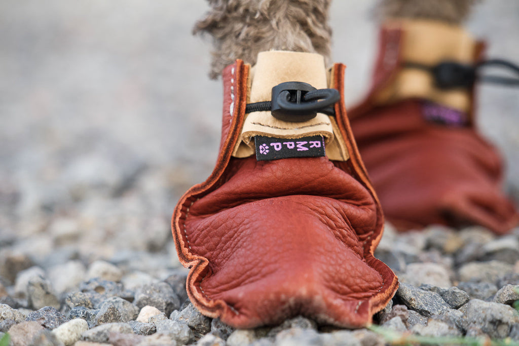 Dog Boots product image 8