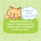 A cute cartoon cat says "I really love this life!" above text that reads, Weruva donates three meals for every Cappy's Pumpkin Patch Up Variety Pack sold, a pumpkin dog food supporting healthy digestion—on a light green confetti background.