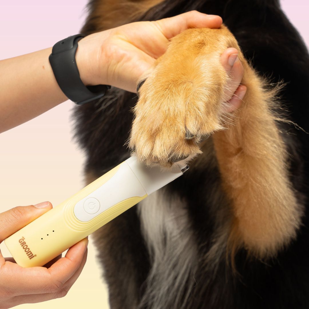 Pet Trimmer product image 2