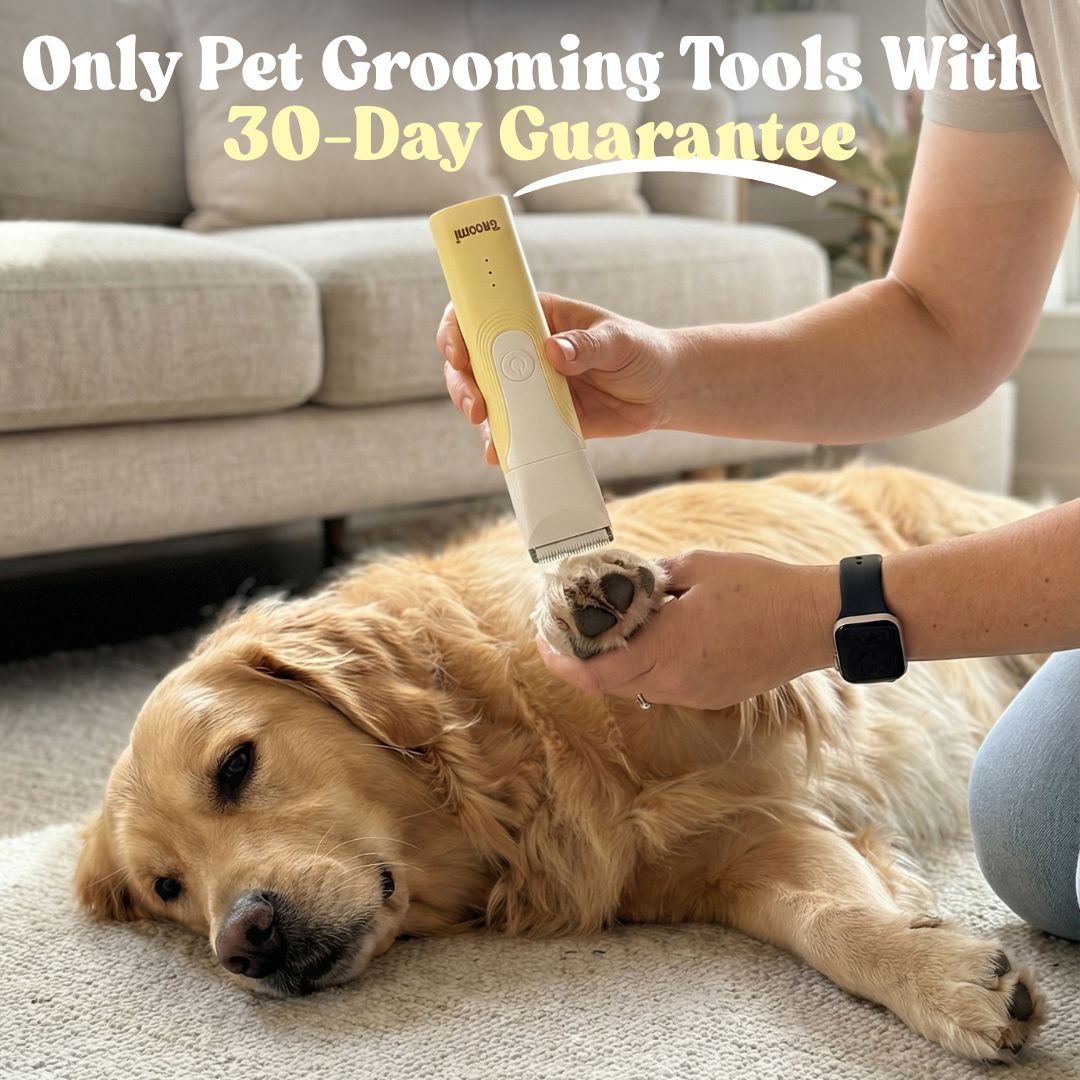 Pet Trimmer product image 3