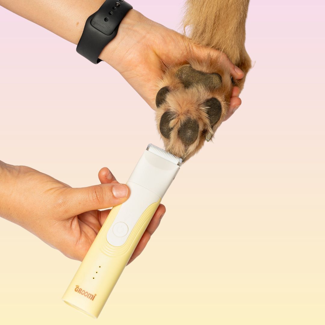 Pet Trimmer product image 4