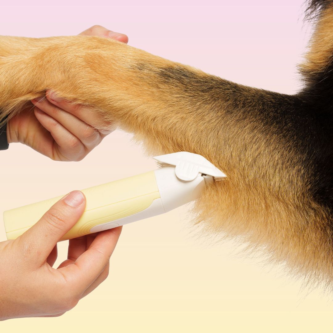 Pet Trimmer product image 7