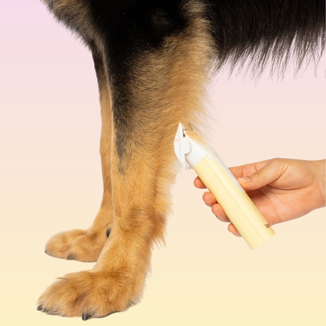 Pet Trimmer product image 8