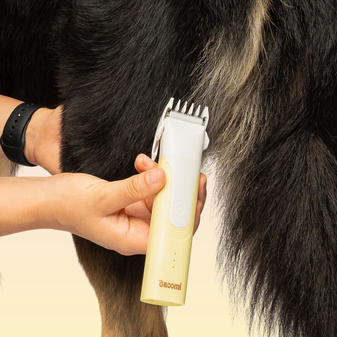 Pet Trimmer product image 9
