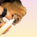 Pet Trimmer product image 10