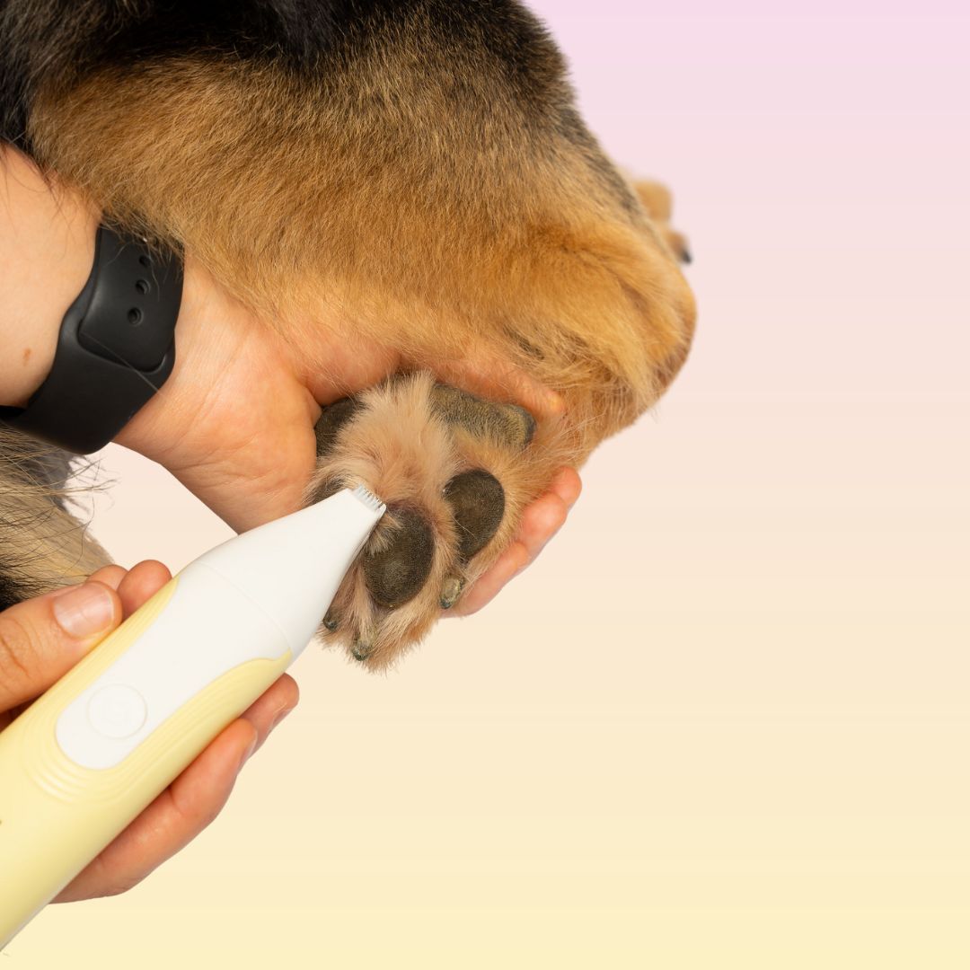 Pet Trimmer product image 10