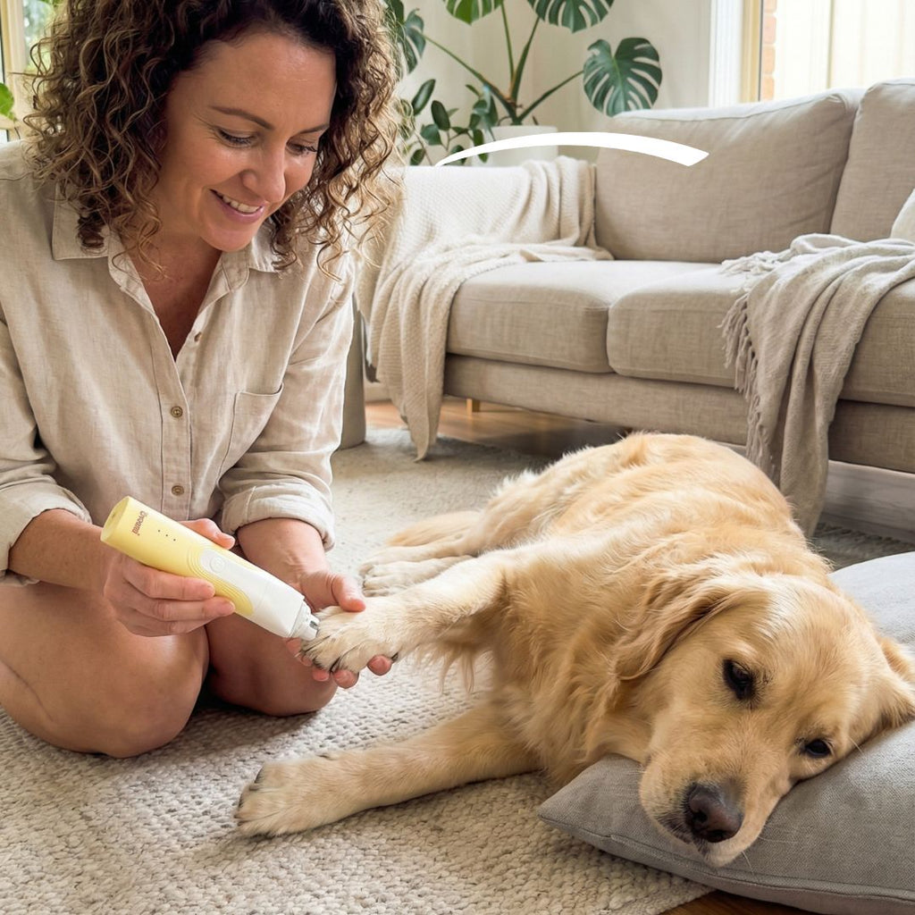 Pet Trimmer product image 11
